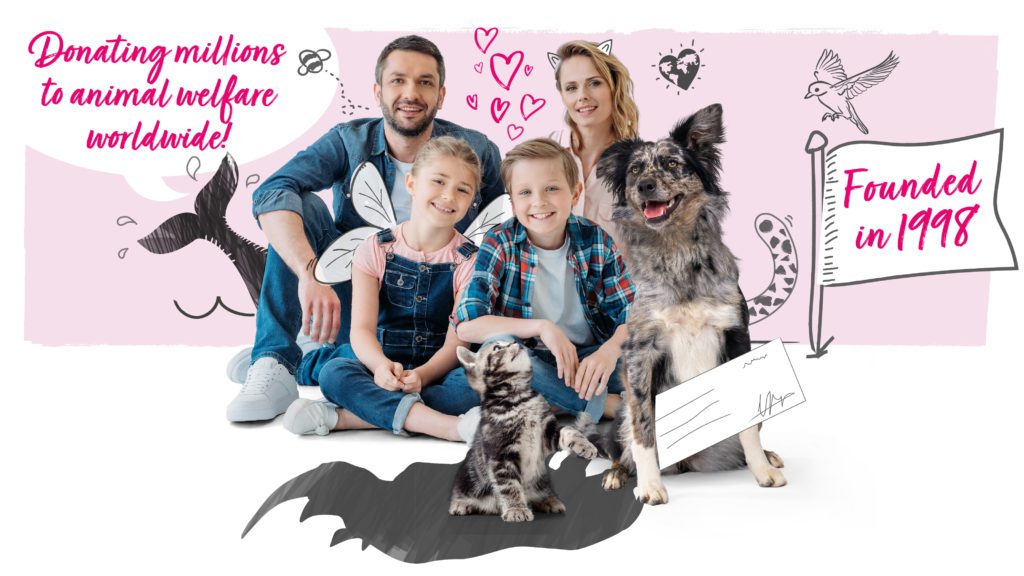 Pet Insurance with Animal Friends Dog Insurance Cat Insurance