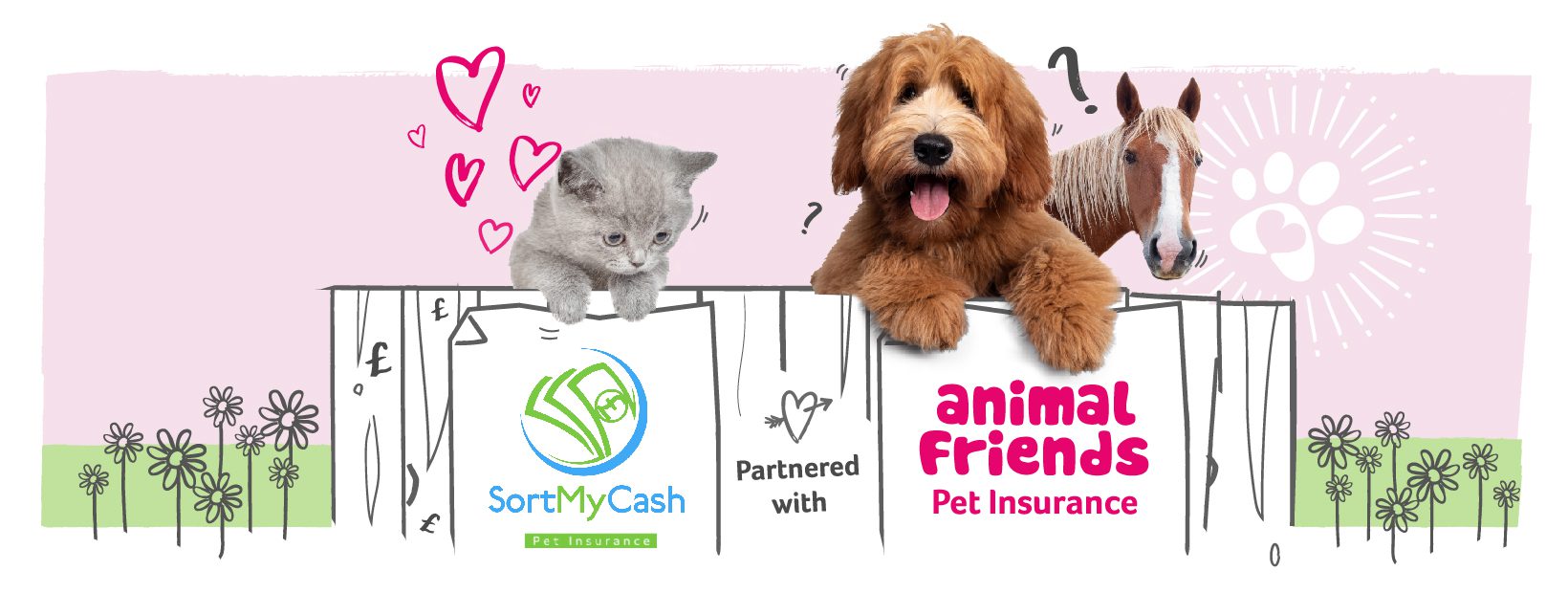 Pet Insurance with Animal Friends | Dog Insurance | Cat Insurance