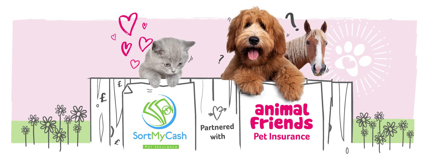 Sort_my_Cash_landing page_images_AFI_SMC_image_1640x620px Animal Friends Pet Insurance | Dog Insurance | Cat Insurance